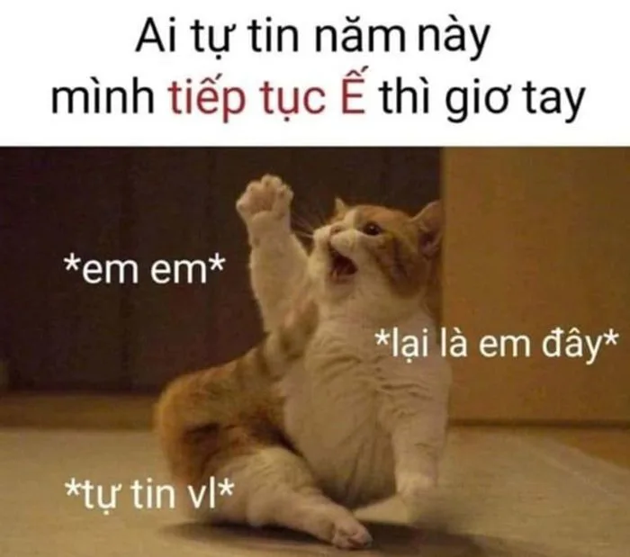 Bộ Sưu Tập Ảnh Meme Giơ Tay Cười Chảy Nước Mắt 2026