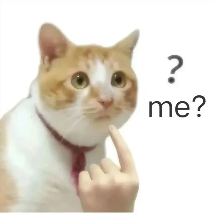 meme gốc meme gốc