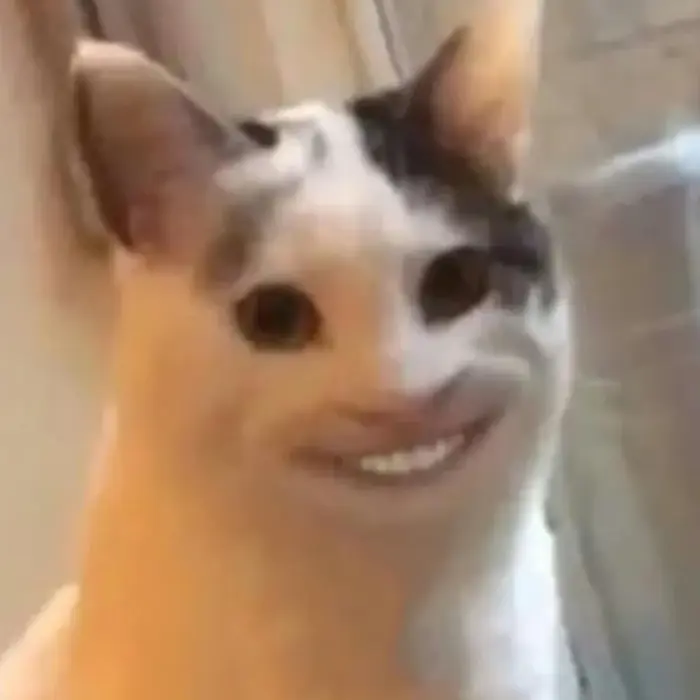 Top meme hài viral khiến dân mạng cười nghiêng ngả