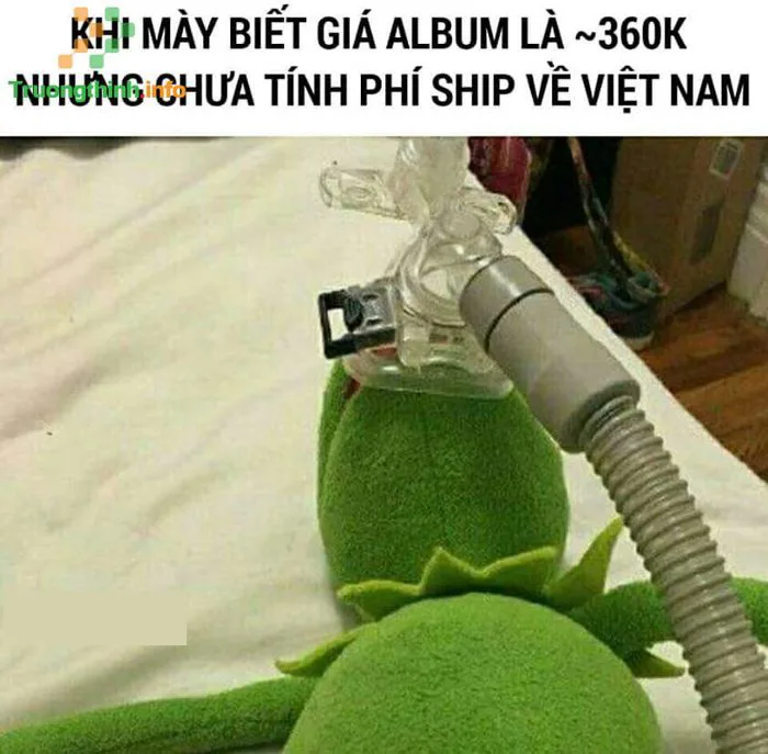 1️⃣】 Hình ảnh meme hài hước, ảnh chế meme vui nhộn, bá đạo ™
