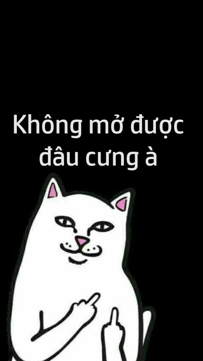 Khám phá 33 ý tưởng Meme và hình nền màn hình khóa | hình nền vui nhộn, ảnh  tường vui nhộn, hoạt hình vui nhộn và các ý tưởng khác