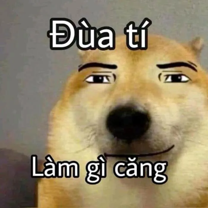 Ảnh Cheems Meme Cute [122+ Hình Nền, Avatar Cheems Ngầu, Buồn, Khóc]