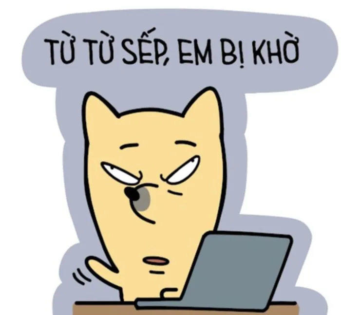Tổng Hợp 99+ Mẫu Hình Nền Máy Tính Meme Dành Cho Dân Văn Phòng
