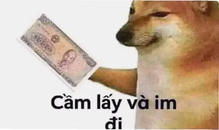 10.000+ hình nền meme hài hước cho điện thoại cực độc lạ năm 2026