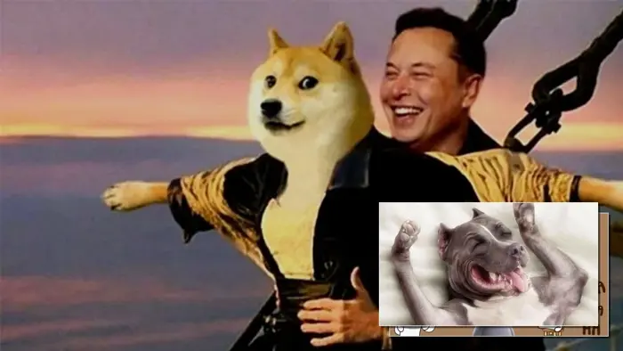 10.000+ hình nền meme hài hước cho điện thoại cực độc lạ năm 2026