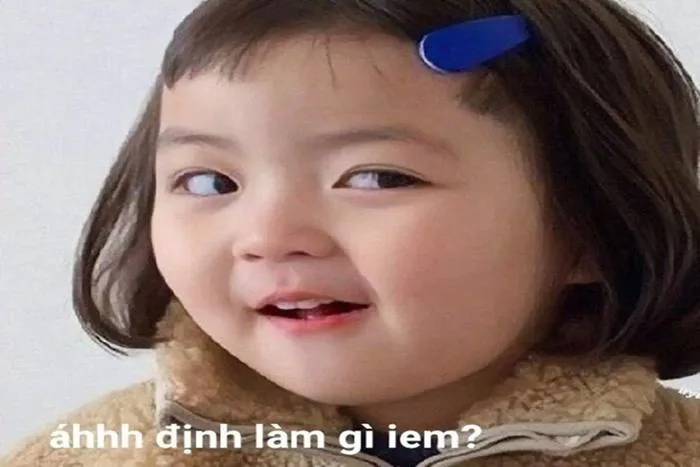 Phì cười với hàng loạt meme cute, ấn tượng thuộc nhiều chủ đề đang viral  khắp