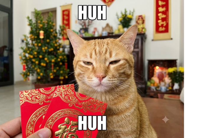 65+ Huh Meme Cat reaction confused cực hài hot