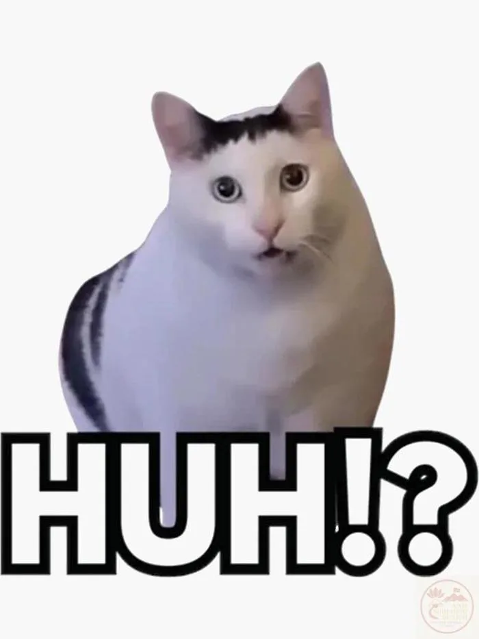 65+ Huh Meme Cat reaction confused cực hài hot