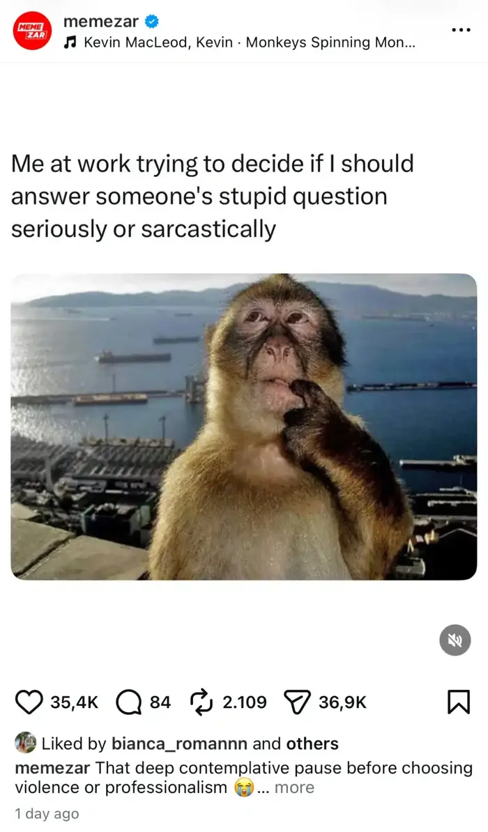 meme-instagram-1