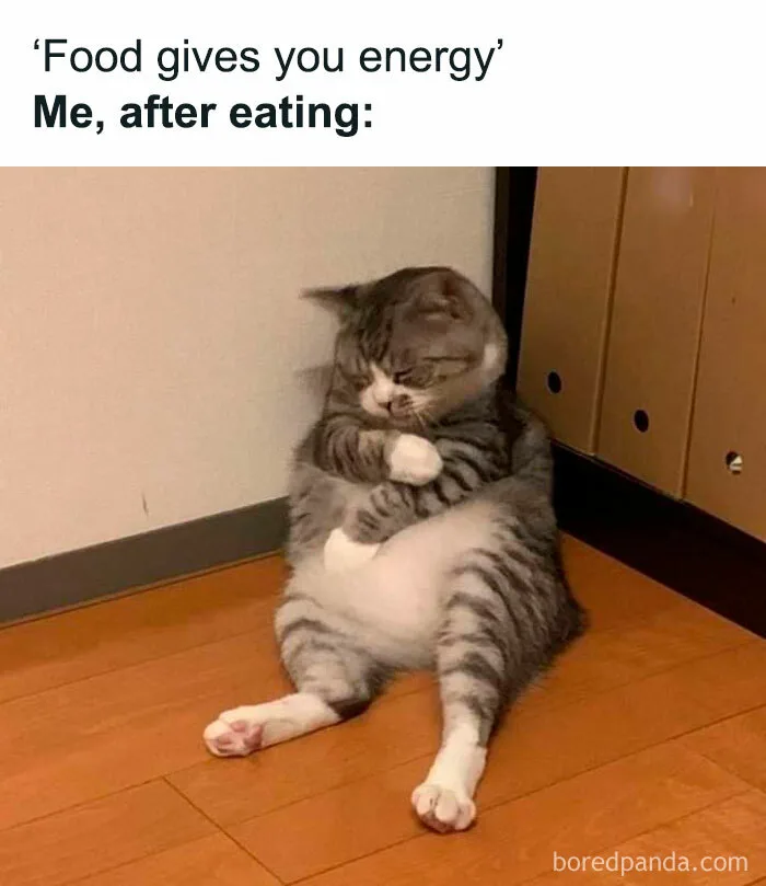 30 Hilarious Memes We Found On These Instagram Pages | Bored Panda