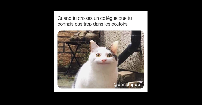 Pourquoi les mèmes cartonnent sur Instagram ?