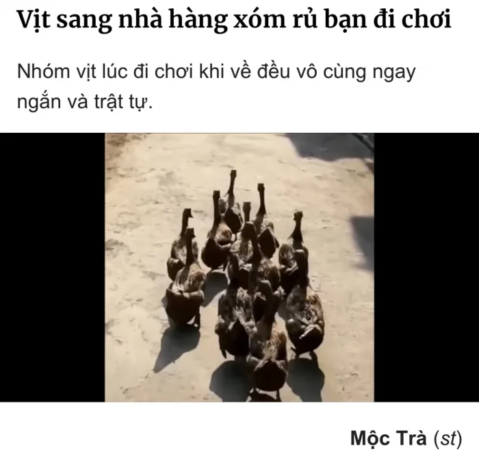 Ám ảnh kẹt xe do nút thắt cổ chai ở các cây cầu trên QL1 qua tỉnh Tiền  Giang | Thảo Luận Chung | Otosaigon