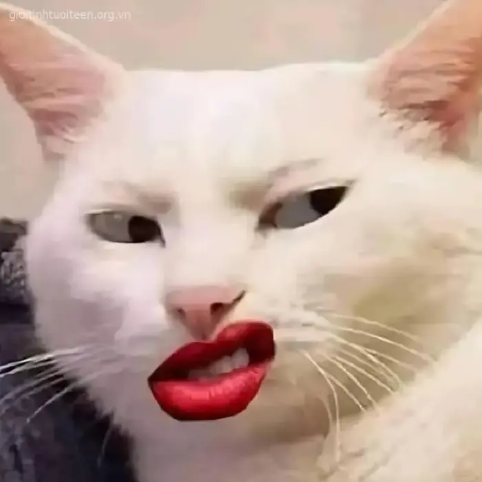 meme-khinh-bi-1