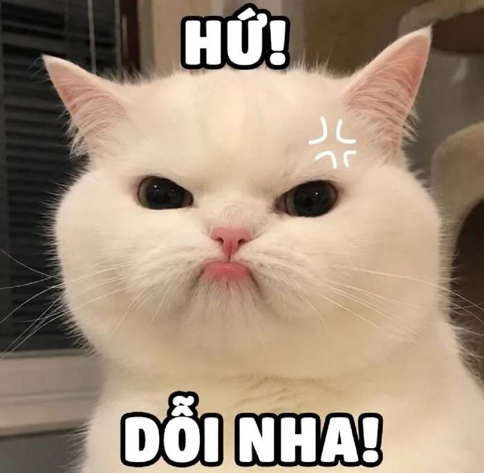 138+ Meme Bĩu Môi khinh bỉ chê ảnh chế siêu hài bựa
