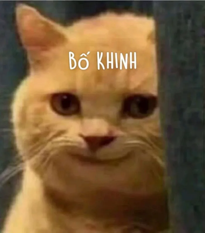 150+ Ảnh meme khinh bỉ hài hước, bá đạo dằn mặt bạn bè cực gắt