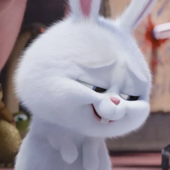 Tổng hợp những meme khinh bỉ đầy hài hước, từ khinh thường đến bá đạo, cùng  những biểu cảm nhếch mép độc đáo