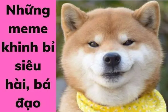 Tổng hợp những meme khinh bỉ hài hước, siêu bựa nhất hiện nay