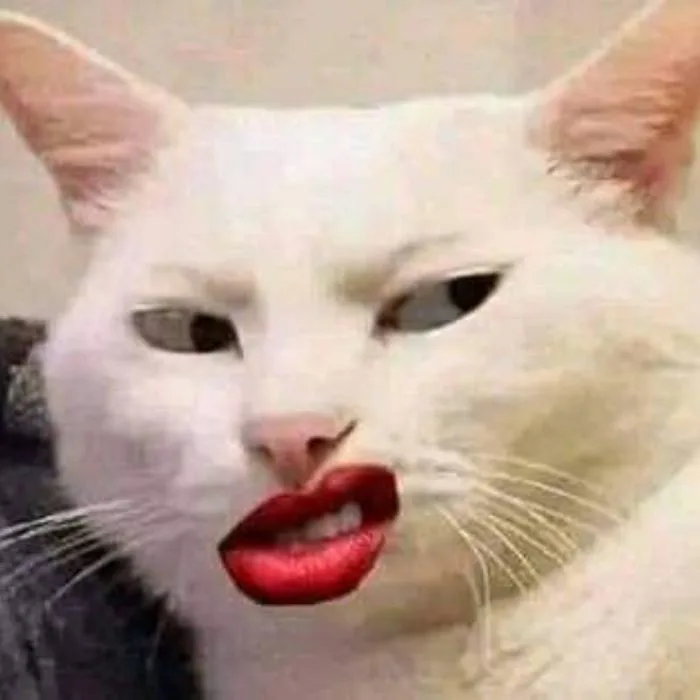 meme-khinh-bi-mat-liec-1