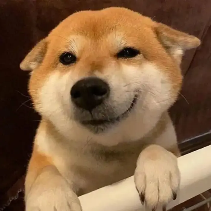 Tổng hợp ảnh meme khinh bỉ vừa hài vừa chất trên mạng