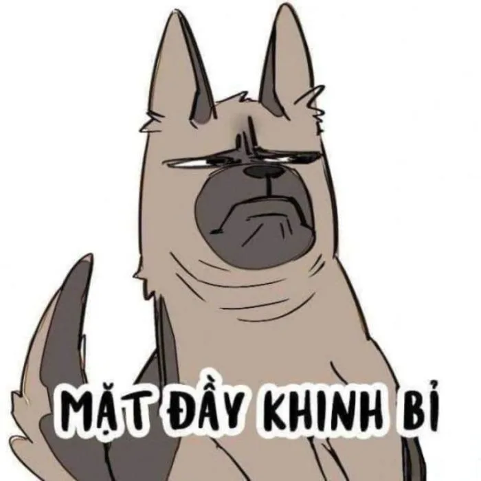 Cười ngất với ảnh meme khinh bỉ hài hước khiến bạn bật cười