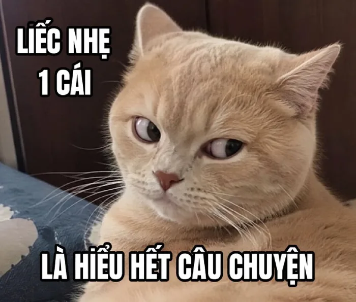 143+ Meme Liếc Lườm liếc xéo cà khịa ảnh chế siêu hài