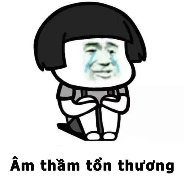 Âm thầm tổn thương - Meme Trung Quốc hài hước. (Ảnh: Internet)