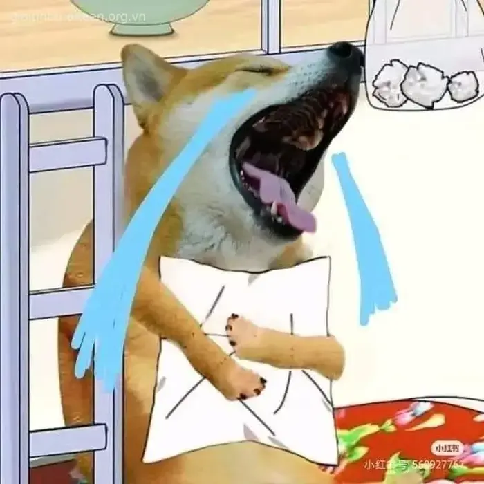 Tuyển tập 34 Meme Chó Khóc đáng yêu, ảnh chế cười ra nước mắt hot nhất hiện  nay
