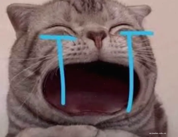 Khám phá Bộ sưu tập Meme Khóc Độc đáo và Hài hước