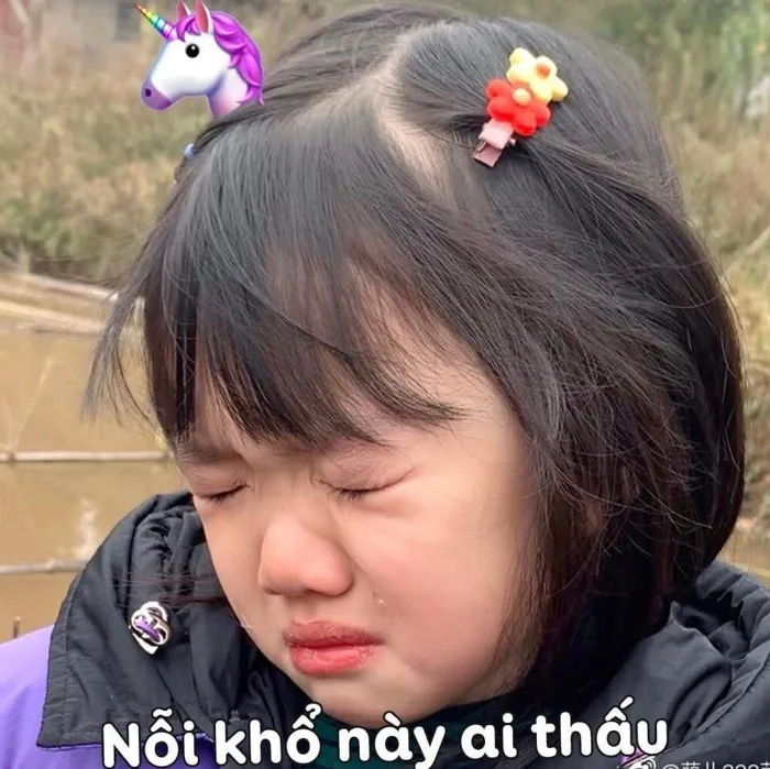 Tổng hợp 100+ ảnh khóc meme lấy nỗi buồn thành tiếng cười