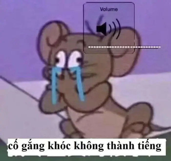 Top 150 Meme Khóc Lóc, Khóc Thét Lên thảm thiết: Ảnh chế cực mặn cho dân  mạng