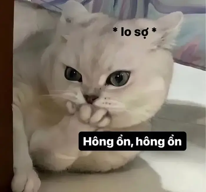 Bộ sưu tập ảnh khóc meme hài hước độc lạ khiến bạn cười ngất
