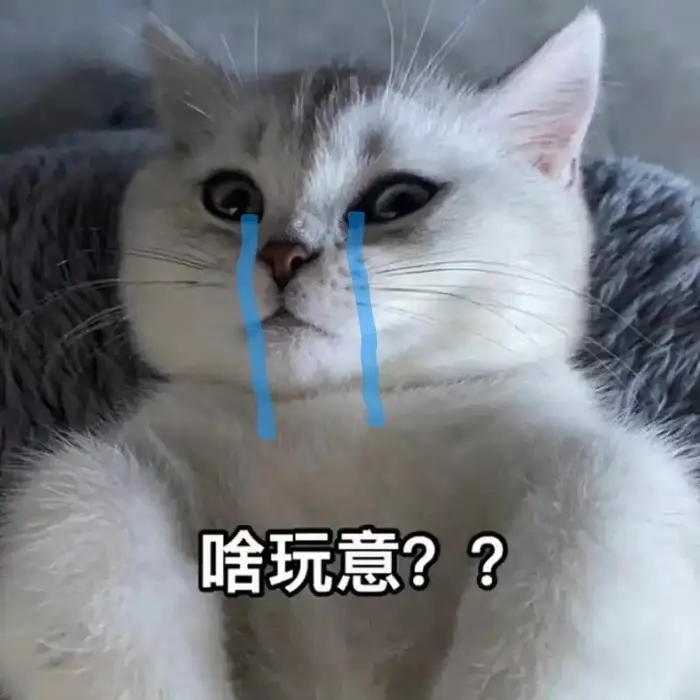 Top meme mèo khóc buồn cười khiến bạn cười ra nước mắt