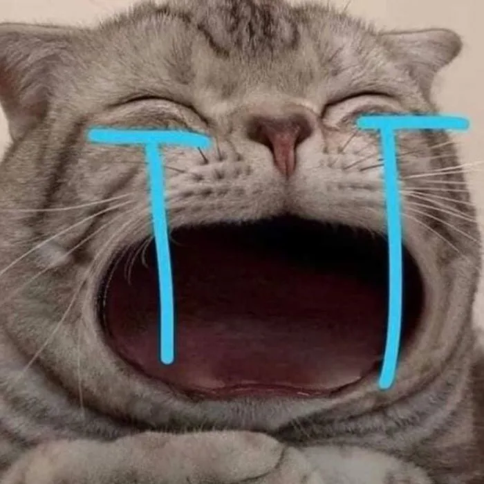 99+ meme mèo khóc thét dỗi slay cực cute