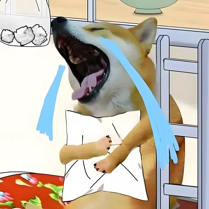 223+ Meme Khóc - Tổng hợp ảnh chế khóc hài hước nhất