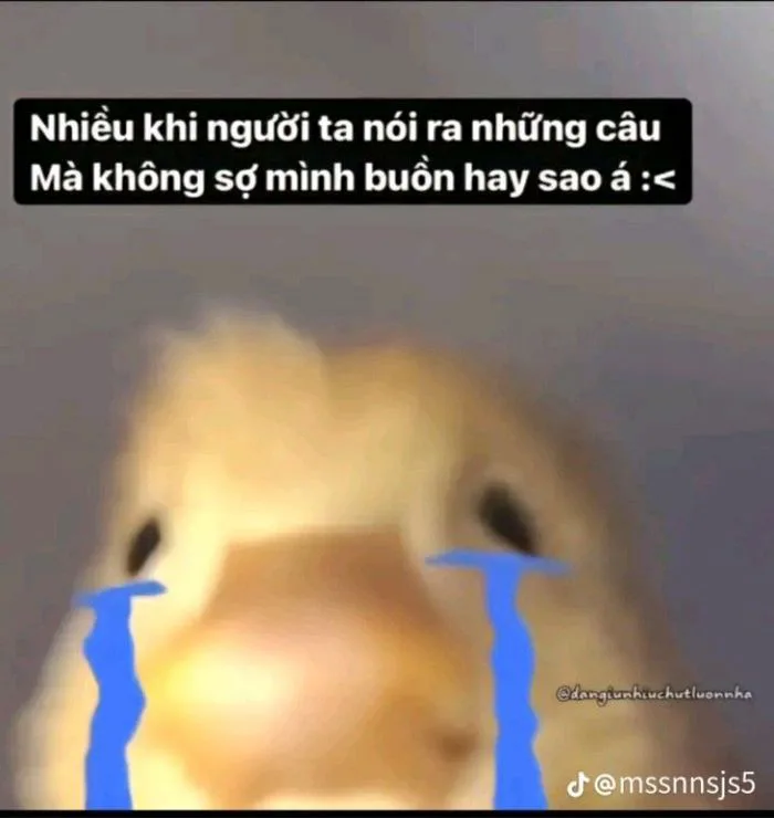 Khóc thét😭