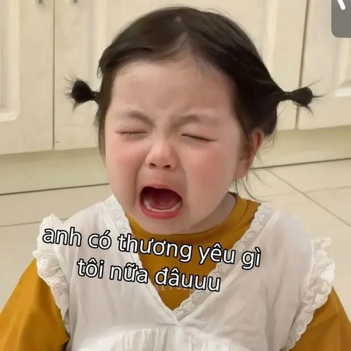 Lưu ngay bộ sưu tập 100+ ảnh meme khóc hài hước, cực viral