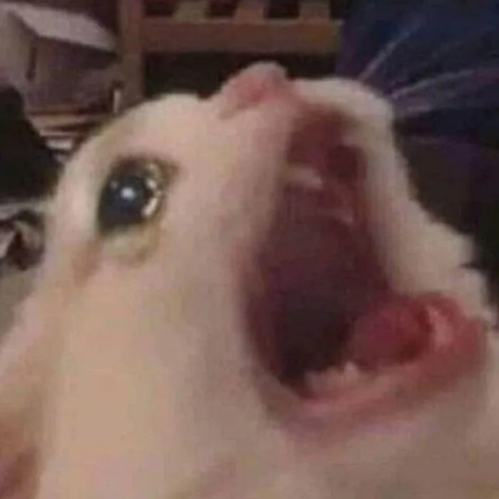 Tuyển tập 99+ ảnh khóc meme hài hước cười ra nước mắt | Yody