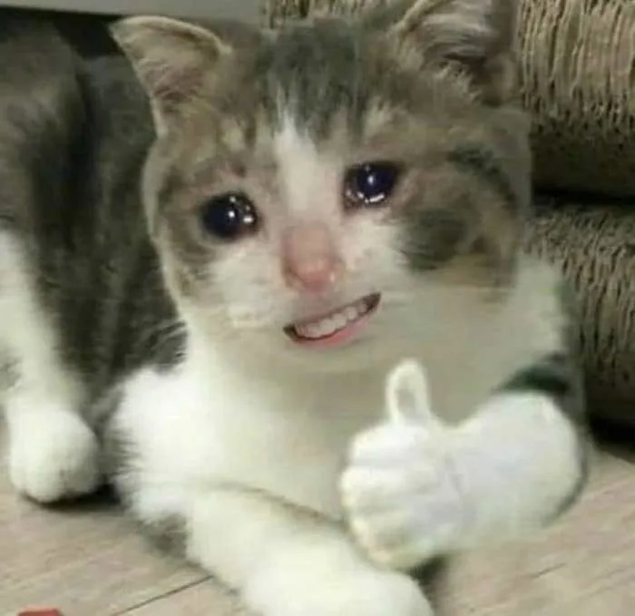 Tổng hợp meme khóc nhưng cười cực hài hước dành cho nhà đầu tư