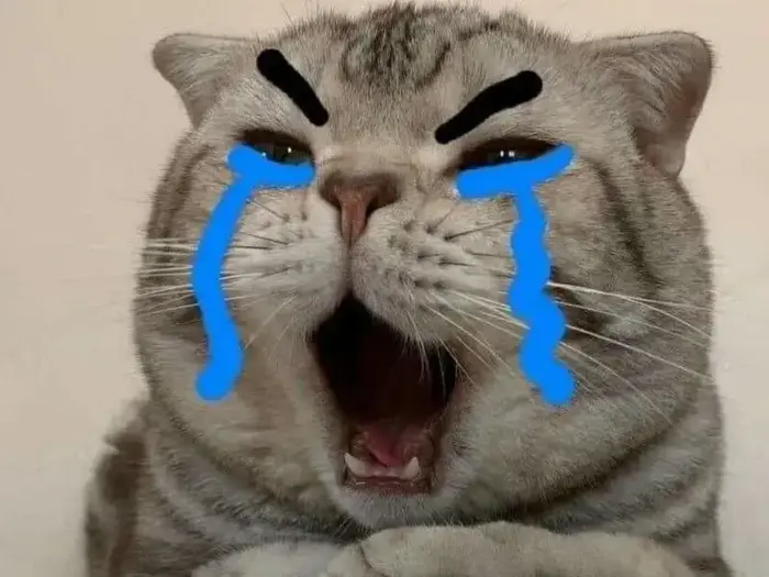 Story » Cười ngất với 100+ Meme Mèo Khóc Lóc, Khóc Thét vừa đáng thương vừa nhây bựa