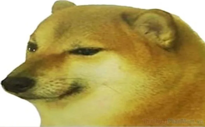 meme-khong-chu-1