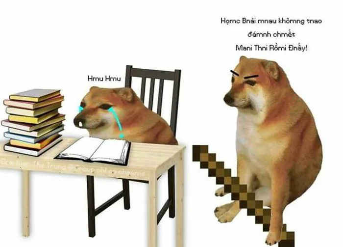 Sự tích Meme: Meme là gì? Những nét thú vị và độc đáo của Meme – Ben  Computer