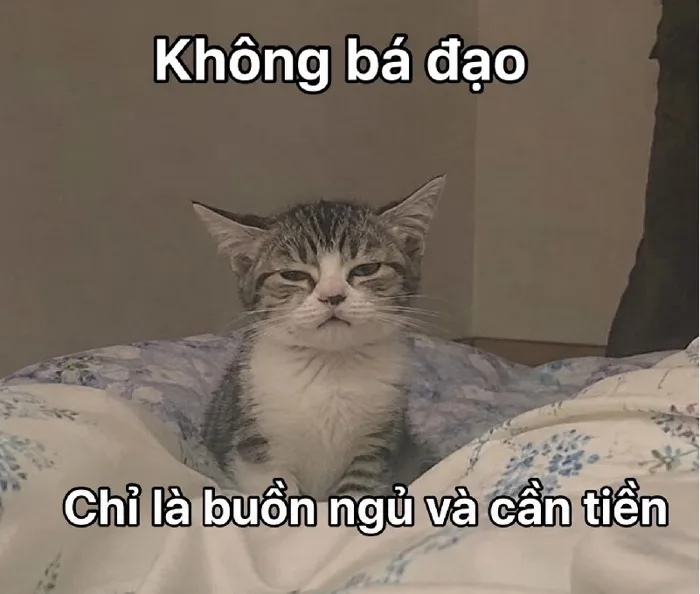 188+ Meme Không - Nhiều biểu cảm ảnh chế siêu hài