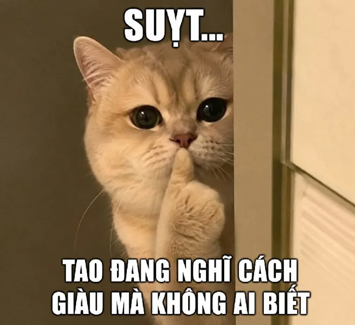 175+ Meme Suỵt - Ảnh chế im lặng nào vuốt cằm siêu lầy