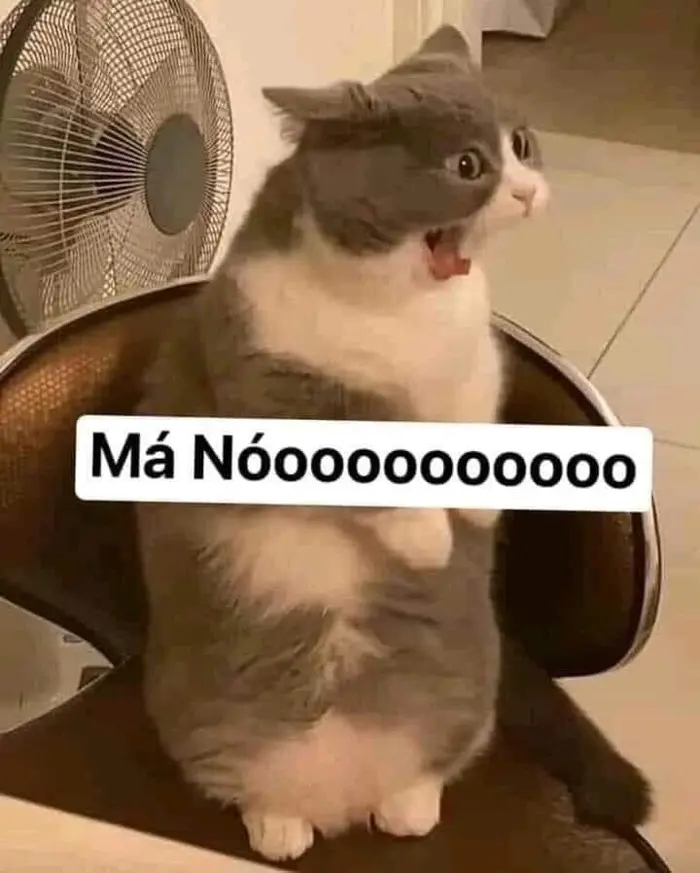 Tổng hợp ảnh meme không độc đáo vui nhộn và siêu hài hước