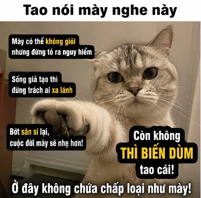 199+ Meme Chửi siêu thâm ảnh chế chửi nhau cười ra nước mắt
