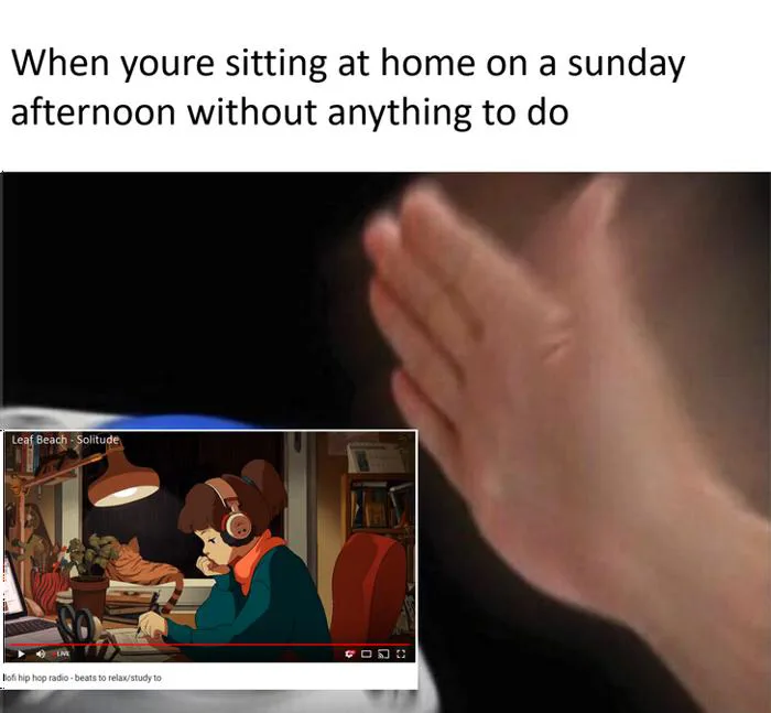 Lofi hiphop Memes and Images - Imgur
