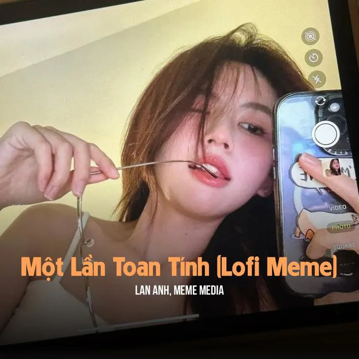 MeMe Media, Lan Anh - Một Lần Toan Tính (Lofi Meme) (Lofi Meme) [338ENT] |  Music & Downloads on Beatport