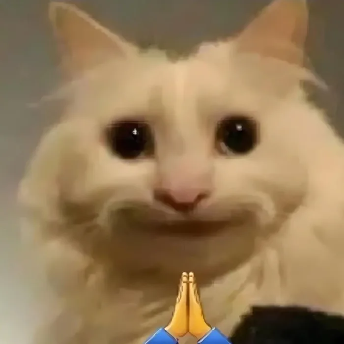 500+ meme mèo bựa, cute, khóc cười siêu vô tri hài hước cho các sen