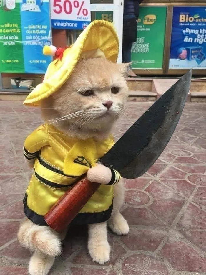 Full) Meme cầm dao - Mèo, chó, chuột, vịt cầm dao lầy lội