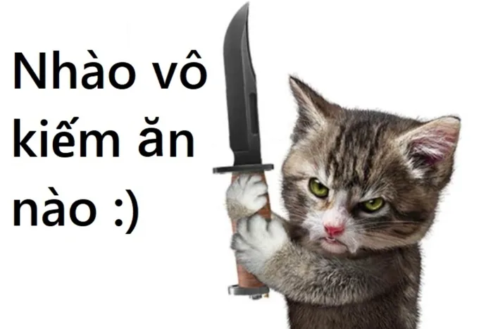 Cười bể bụng với bộ sưu tập hình ảnh meme mèo cầm dao lầy lội